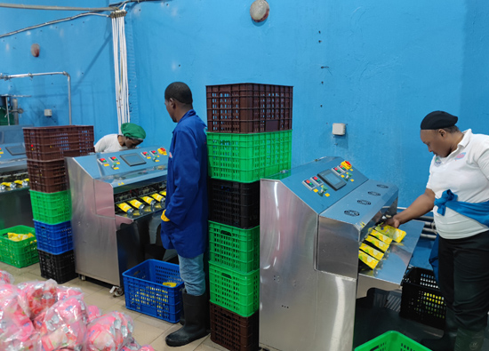 Overcoming numerous difficulties, our company helped the Congo-Brazzaville production line to land smoothly